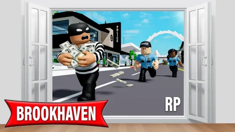 Brookhaven city