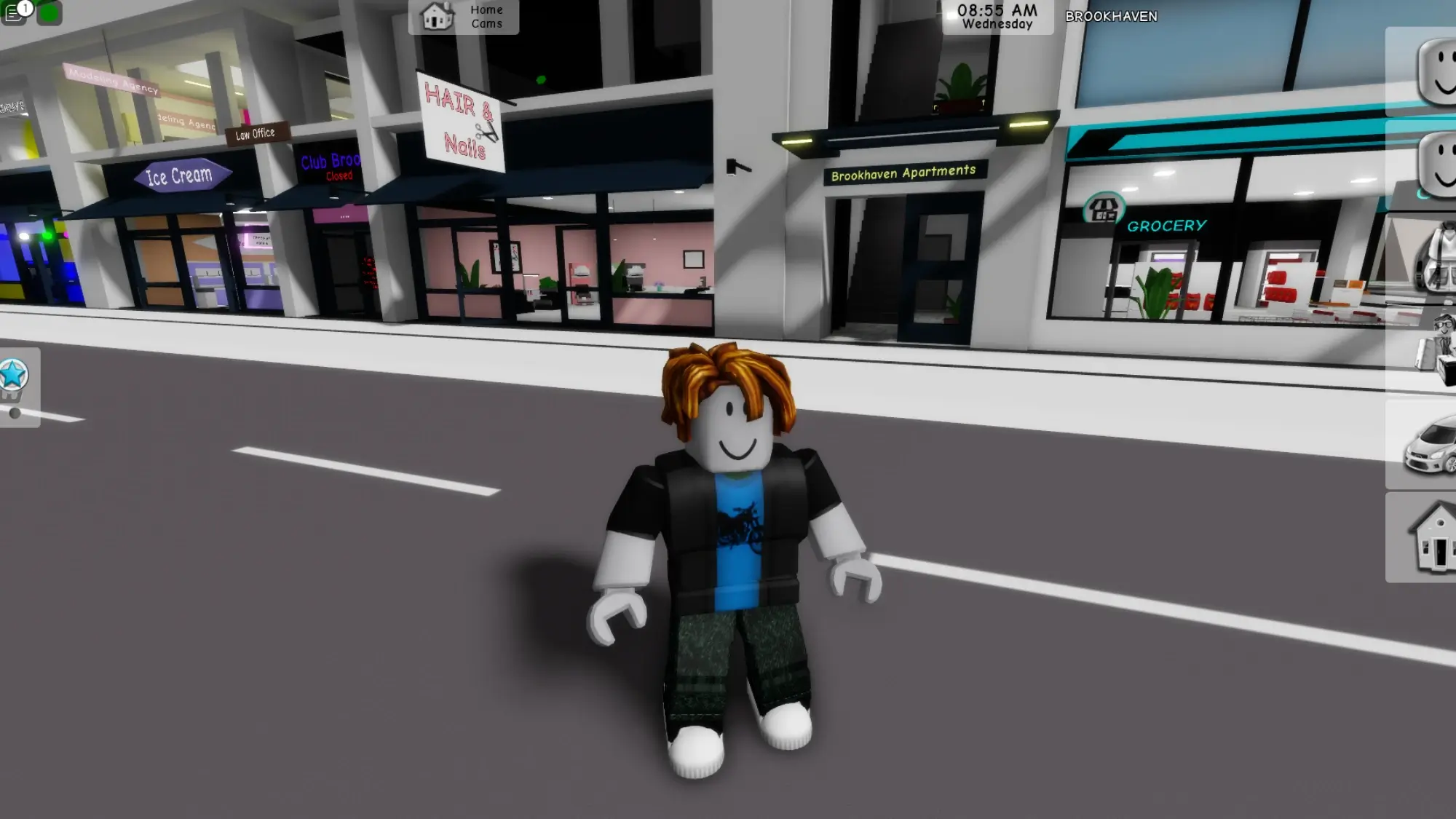 Indian Roblox players